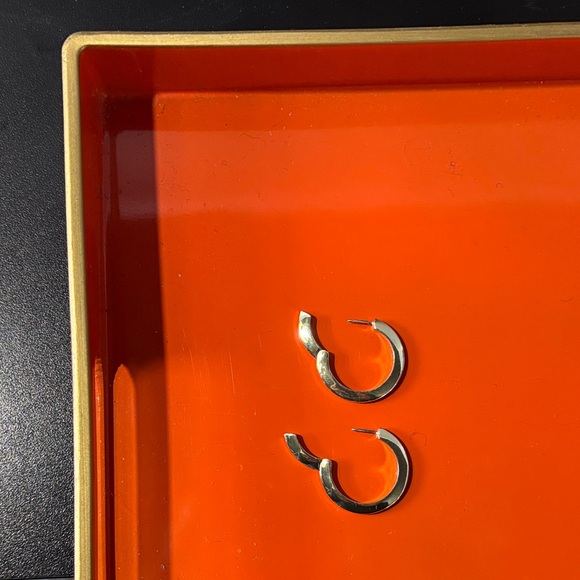 Jenny Bird Jewelry - NWOT Jenny Bird Silver 1.1” Diameter Bestseller Toni Hoop Earrings